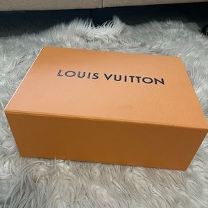 Louis Vuitton Storage box